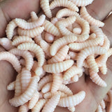 200Pcs/lot 4 Colors Soft Fishing Lures Maggots Worms Bread Bug Bionic Grubs Trout Baits Tackle Pesca iscas Artificias Lures