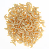200Pcs/lot 4 Colors Soft Fishing Lures Maggots Worms Bread Bug Bionic Grubs Trout Baits Tackle Pesca iscas Artificias Lures