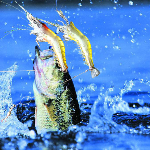 MUQGEW 2pc Silicone Shrimp Fishing Simulation Noctilucent Soft Prawn Lure Hook Bait #S0